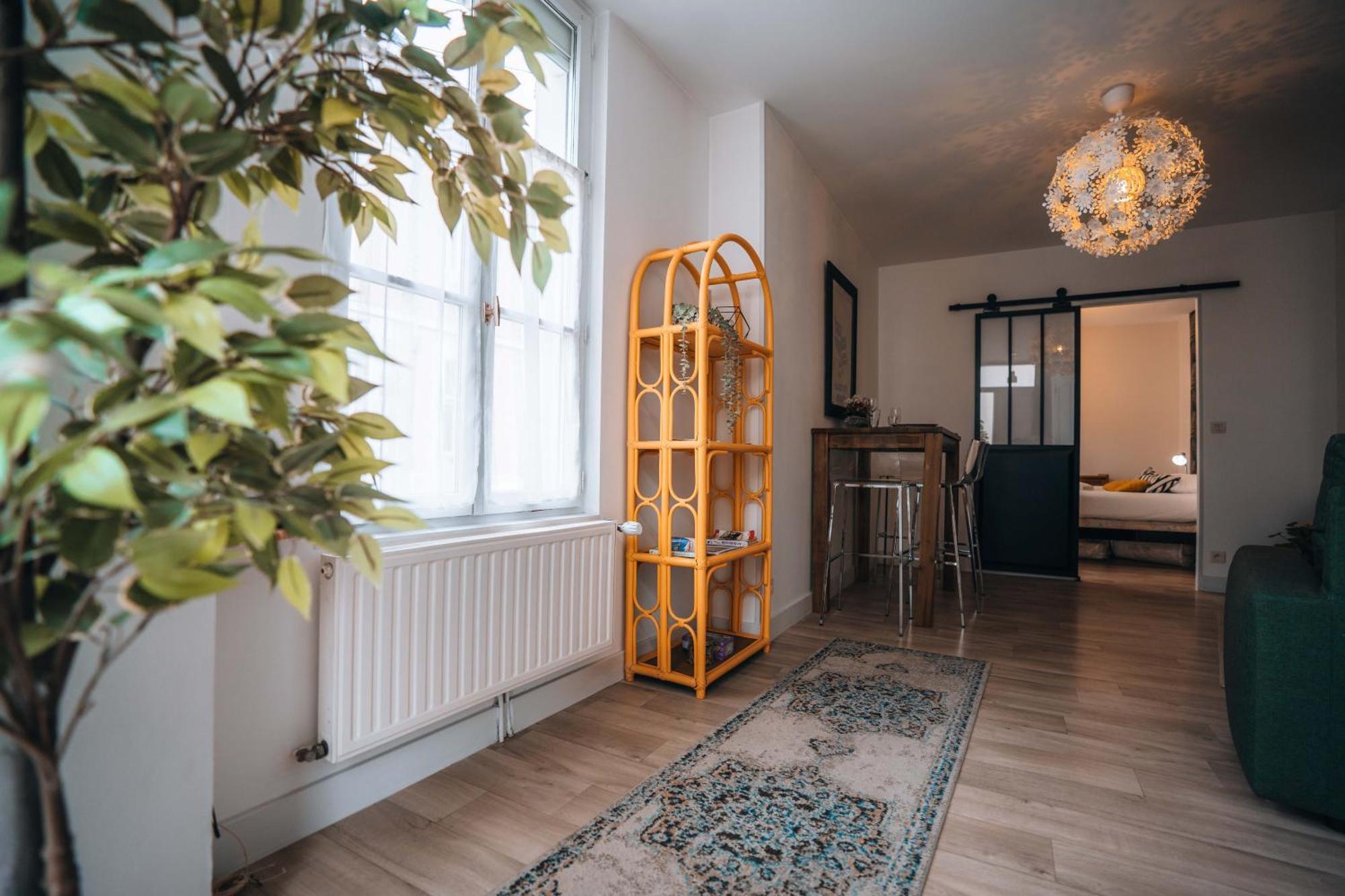 Les Petits Roys - Proche Centre Ville - Cosy Chateauroux Ngoại thất bức ảnh
